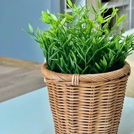 Apartman Art 1bdr Szófia